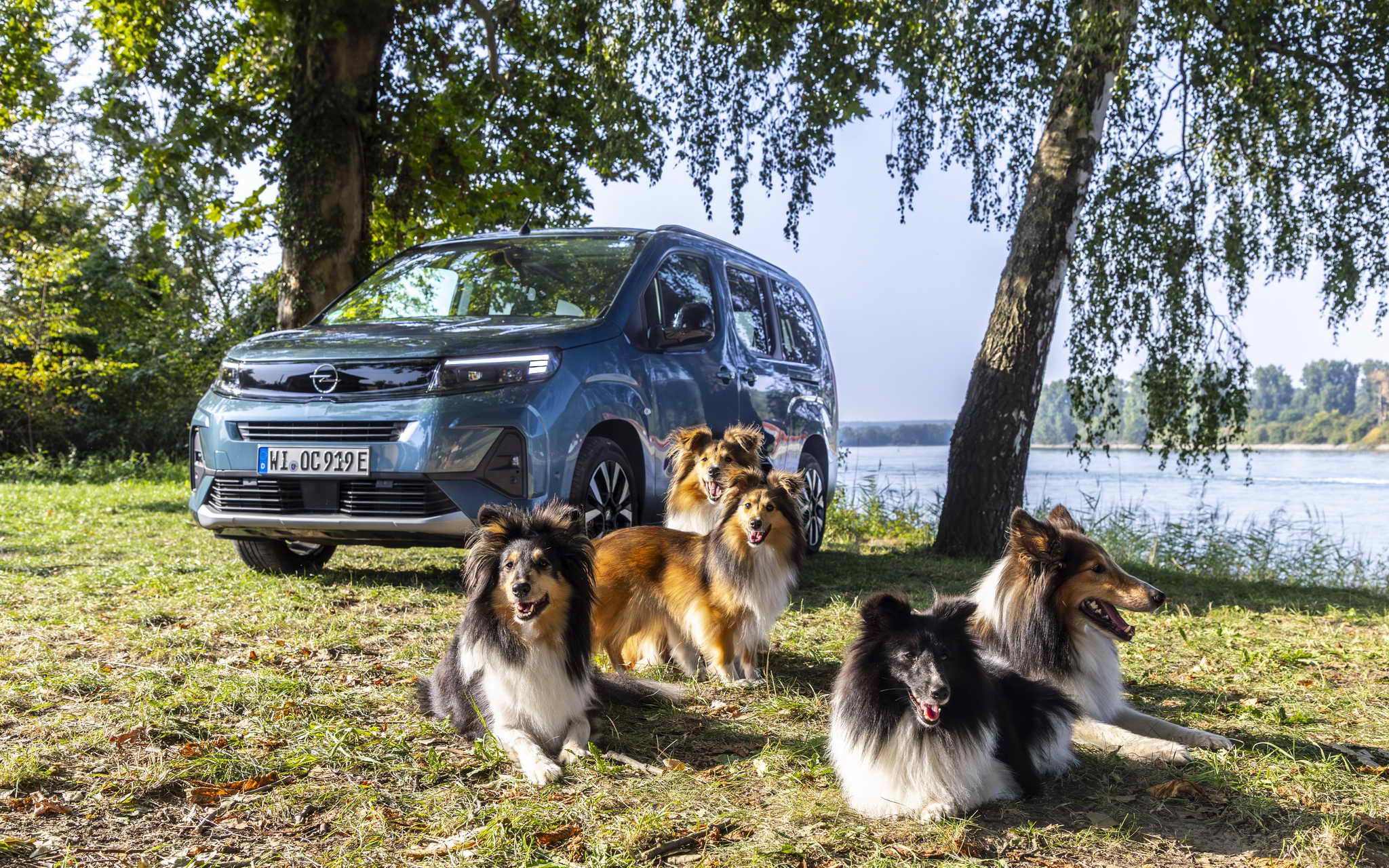 OPEL COMBO ELEKTROMOS: VEZETÉSI ÉLMÉNY KUTYÁKKAL ÉS CSALÁDDAL